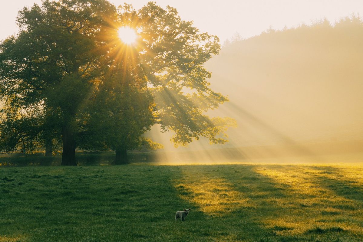 Gunas in Ayurveda: Subtle x Gross